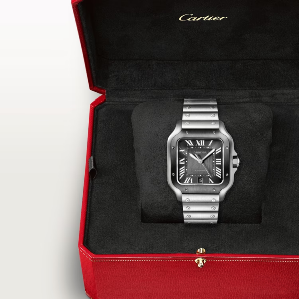 CARTIER SANTOS GRAY 39.8mm - Image 7